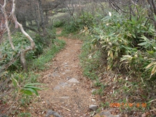 110919trail 110919trail