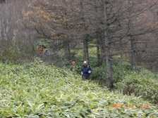 110920sasa 110920sasa