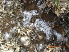 07_simobashira 07_simobashira