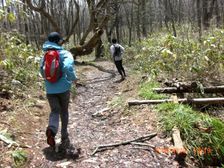 41_sasayaki 41_sasayaki