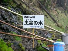 06_vital_2 06_vital_2