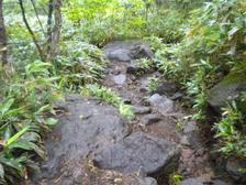 15_slippy_2 15_slippy_2