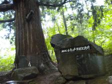 29_nhkbird 29_nhkbird