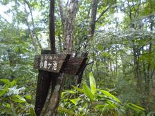 31_pondwaiting 31_pondwaiting