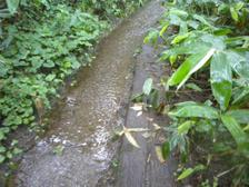 36_riverroad 36_riverroad