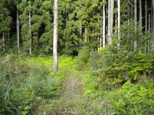 07_totoyoda 07_totoyoda