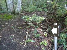 13_tozando 13_tozando