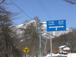 33_birdline 33_birdline