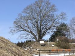 53_jizokubo 53_jizokubo