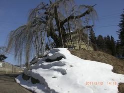 54_sodenoyama 54_sodenoyama