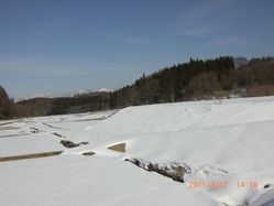 55_hiraide 55_hiraide